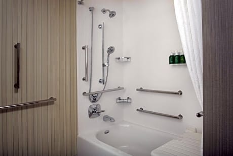 Studio, Multiple Beds (2 Queen Beds and 1 Double Sofa Bed)