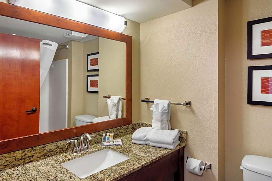 Comfort Inn & Suites LaGrange East