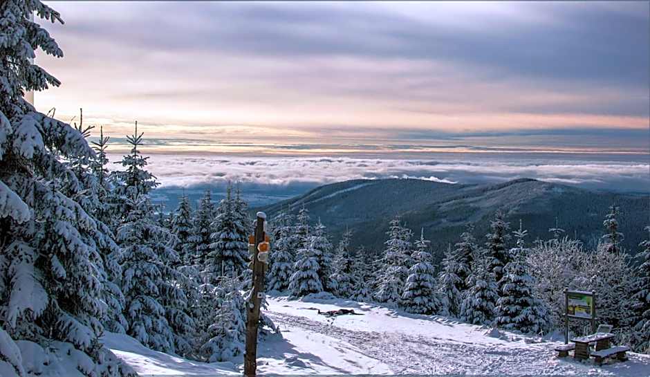 Ski Hotel Svoboda nad Úpou