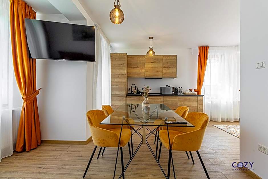 Unique and Cozy ApartHotel in Brasov