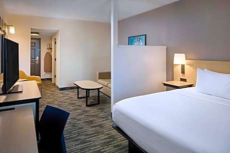 King Suite with Sofa Bed
