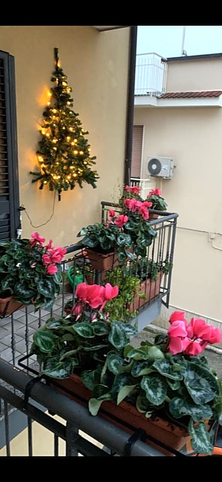 Residence San Pietro Book sharing