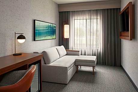 King Suite with Sofa Bed