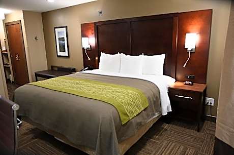 Handicapped Single Room