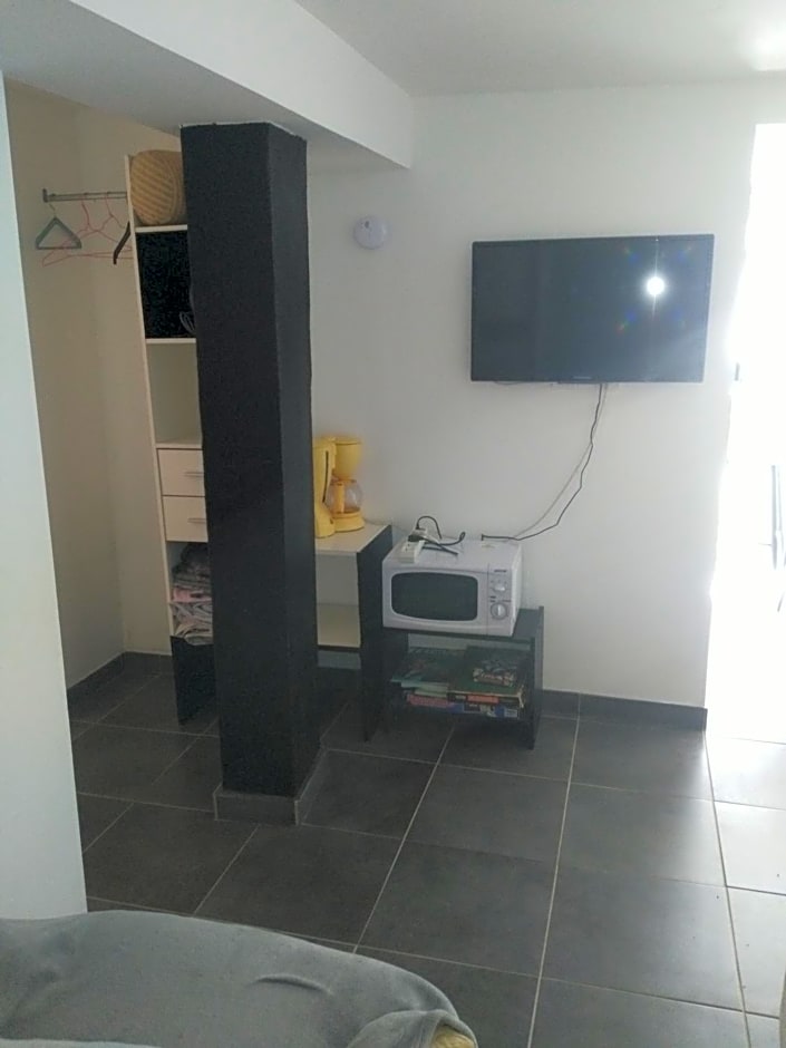 Le camélia de la mazarié