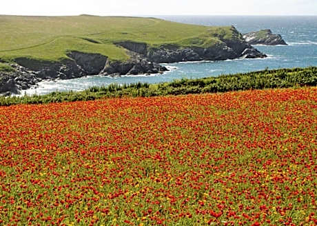 Trevornick Holiday Park