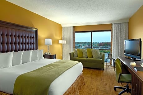 1 King 2 Room Presidential Suite