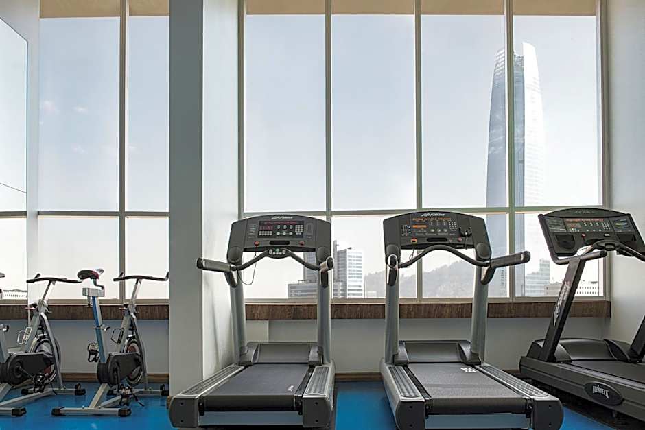 Pullman Santiago El Bosque