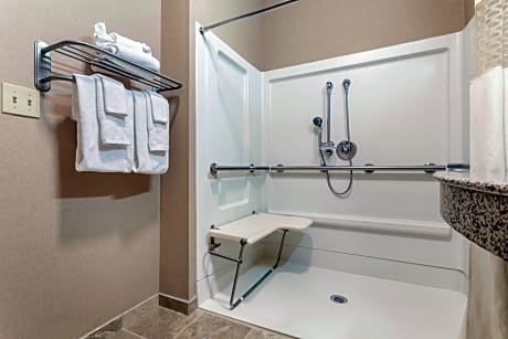 1 King Mobility/Hearing Access W/Tub Nonsmok