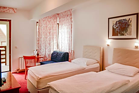 DOUBLE SUPERIOR ROOM ROOM 1 adult