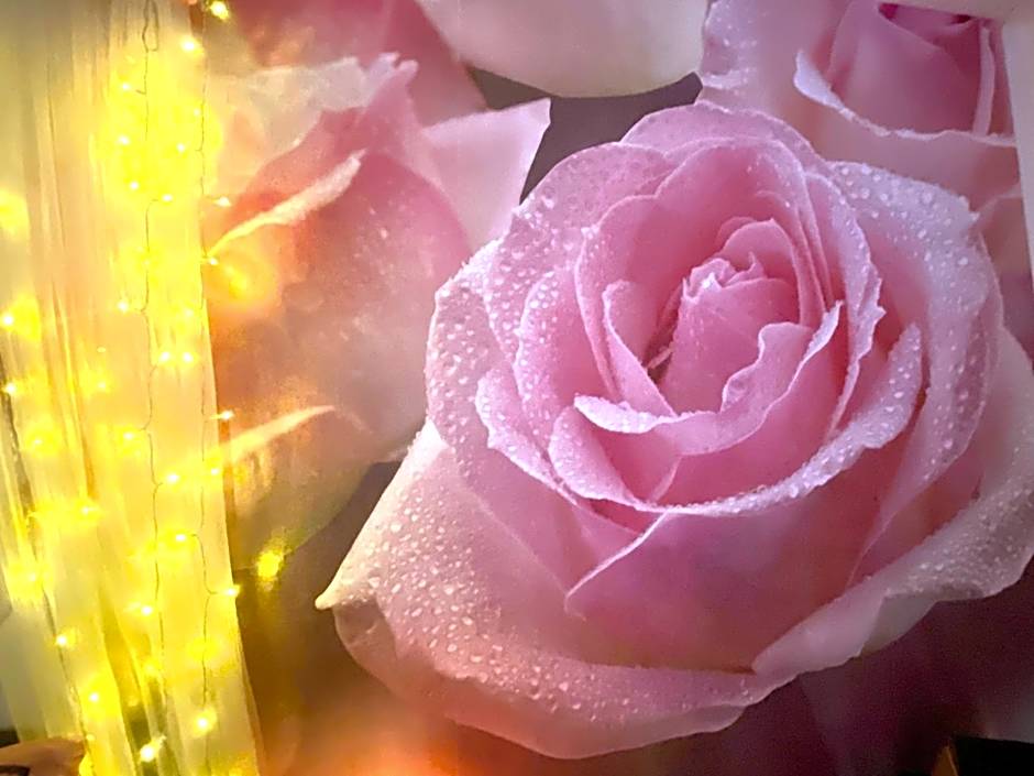 COSY & SPA Appartement Luxe JACUZZI SAUNA Suite Cristal