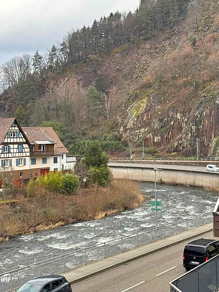Hotel Grüner Baum - Hotel im Murgtal, Schwarzwald
