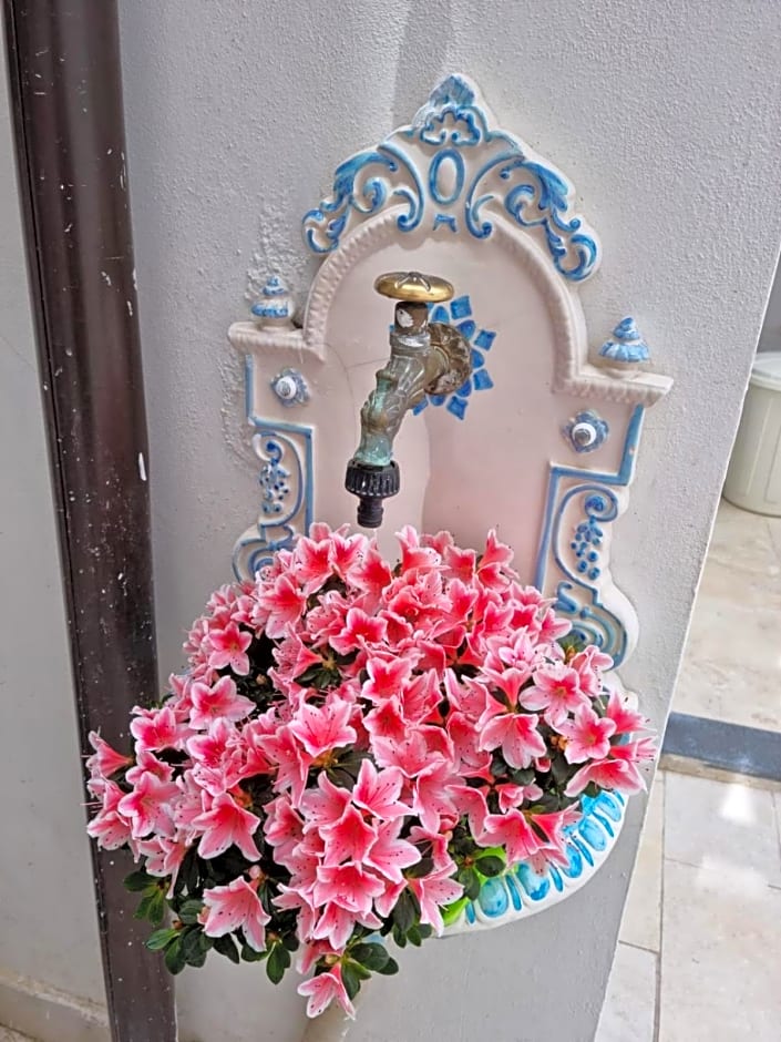 Sognando Vietri e SPA Esclusiva P T