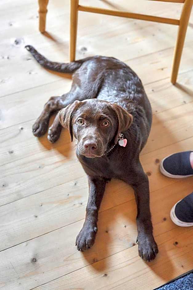 B&B Margit's Ranch Urlaub am Pferdehof