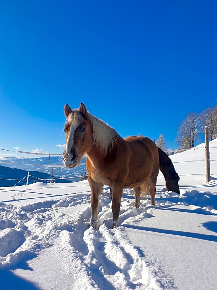 Ferienhaus Lärchenhütte