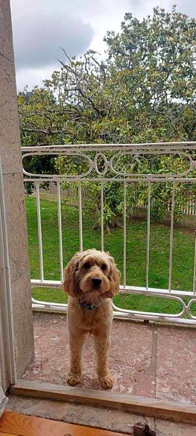 HOSTERÍA SEÑORÍO DE BIZKAIA