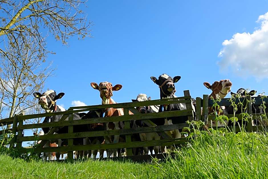 Gastenverblijf Rodenburg