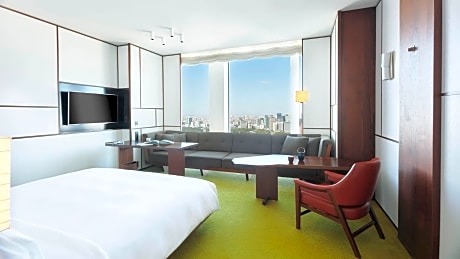 1 King Bed with Park View