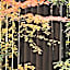 Guest House Oumi