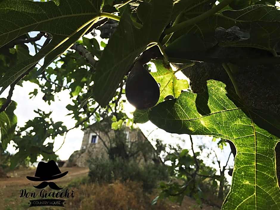 Don Giacchì Country House