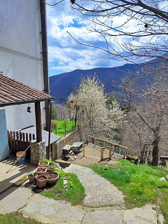 Albergo Ristorante La Selva