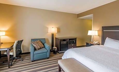 King Room with Sofa Bed - Hearing Accessible/Non-Smoking