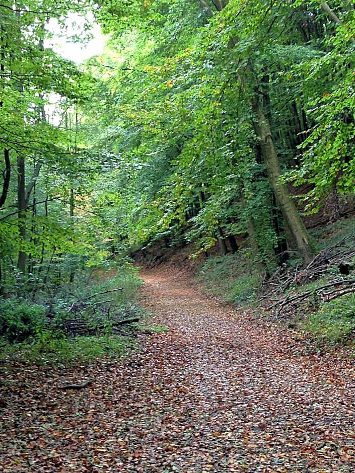 Waldhotel Porta Westfalica