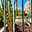 Hôtel Gallia Cannes
