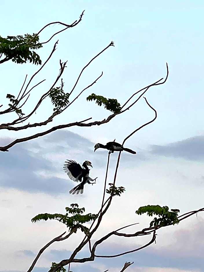 Hillhouse - Koh Yao Noi