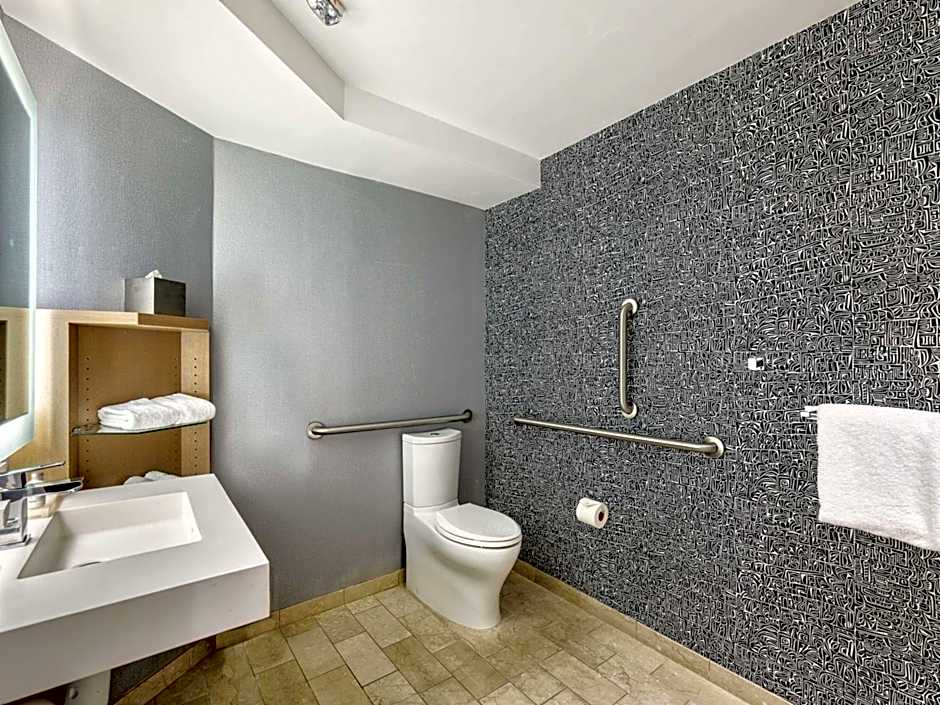 The Royal Sonesta Minneapolis Downtown