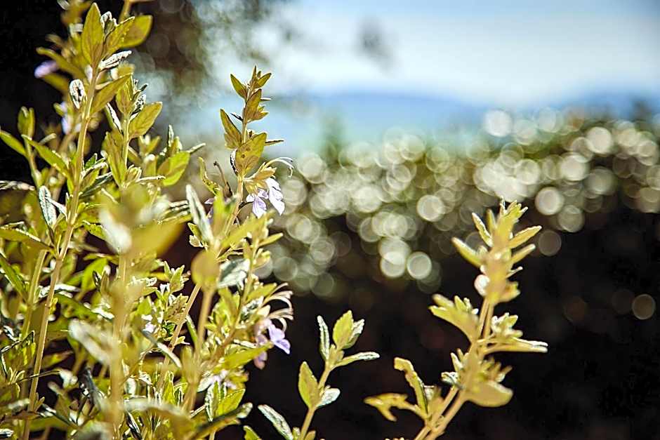 Piccolo Hotel La Valle