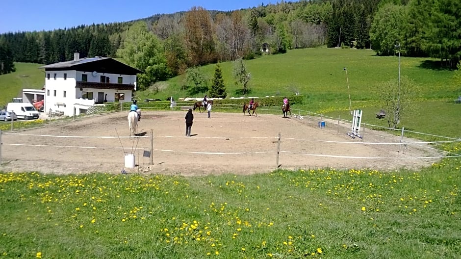 Apartments im Almhaus Bachler