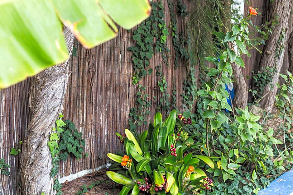 Ericeira Chill Hill Hostel & Private Rooms