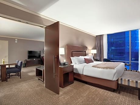 Suite City View King Bed