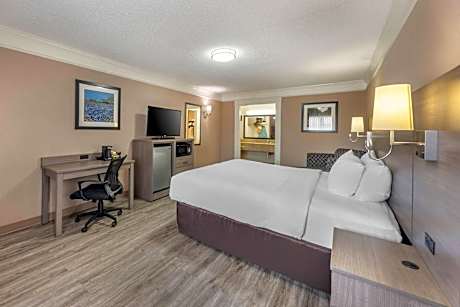 King Room - Non-Smoking