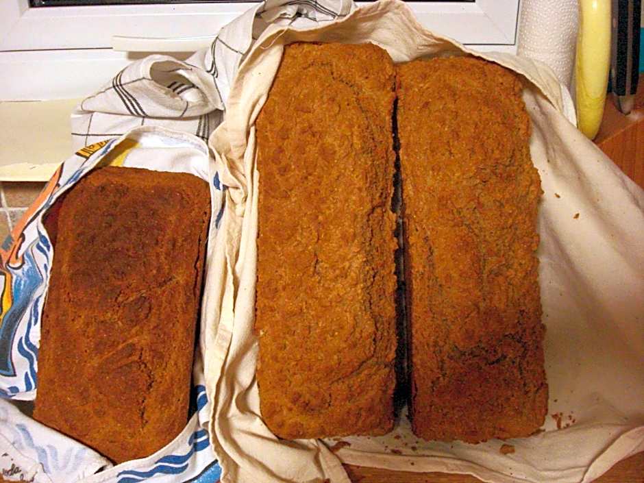 Twin Oaks Bed & Breakfast