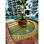 Pacifika Marina Mazatlán