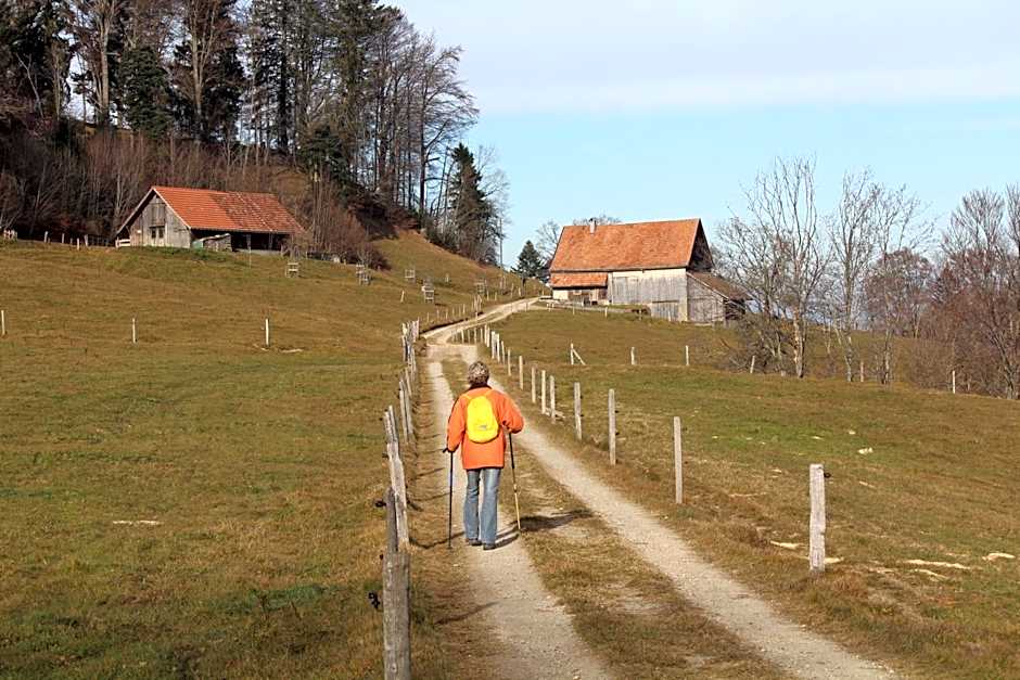 Hotel Hulfteggpass