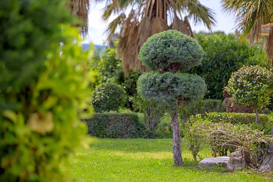 Oikies Small Elegant Houses