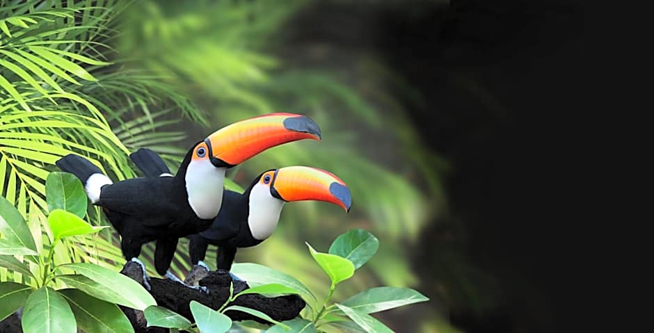 Atiaia Jungle River Retreat