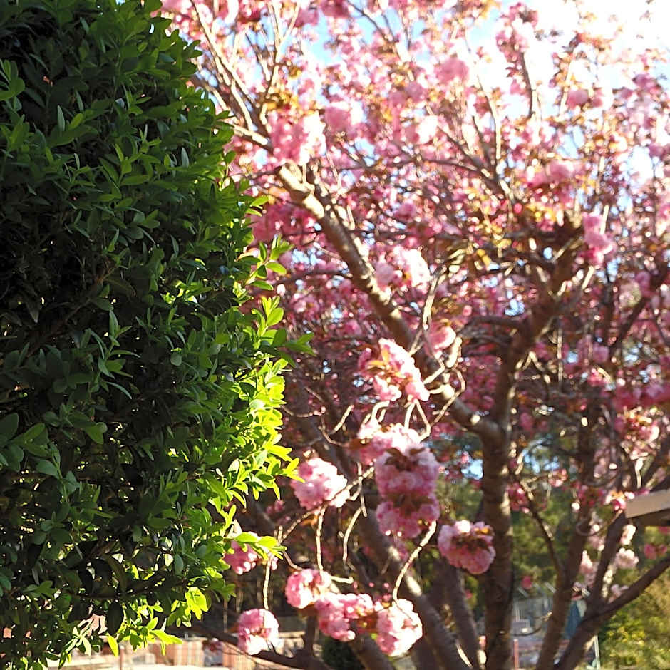 Bowral Road Art Gallery Bed and Breakfast