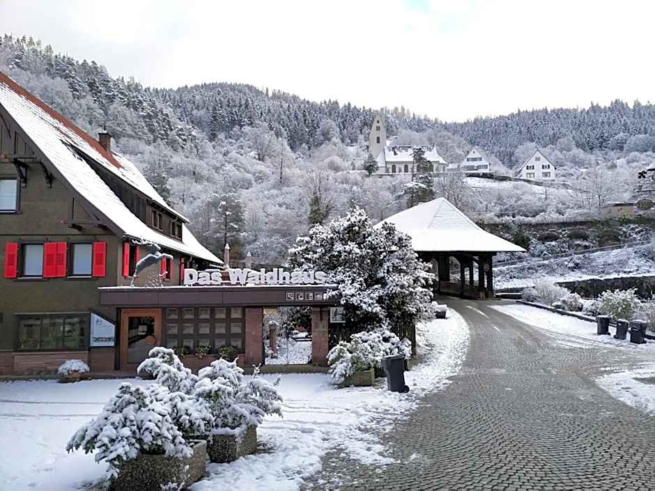 Das Waldhaus