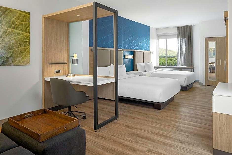 SpringHill Suites by Marriott Roanoke North