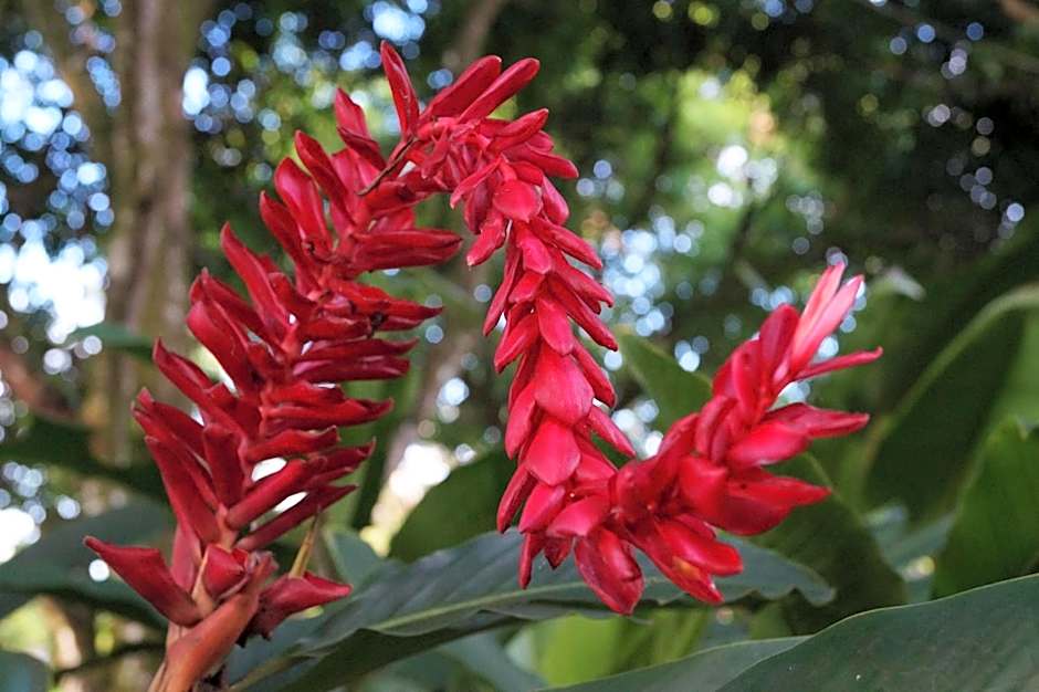 Hotel la Aldea del Halach Huinic