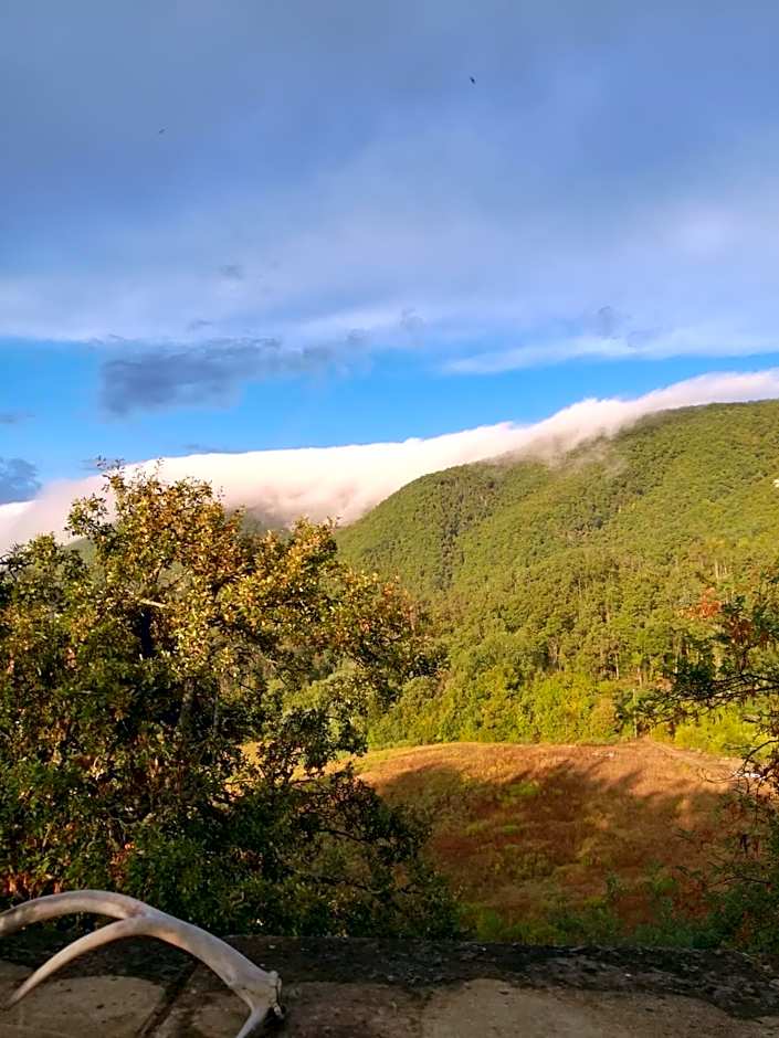 Monte Termine Country House