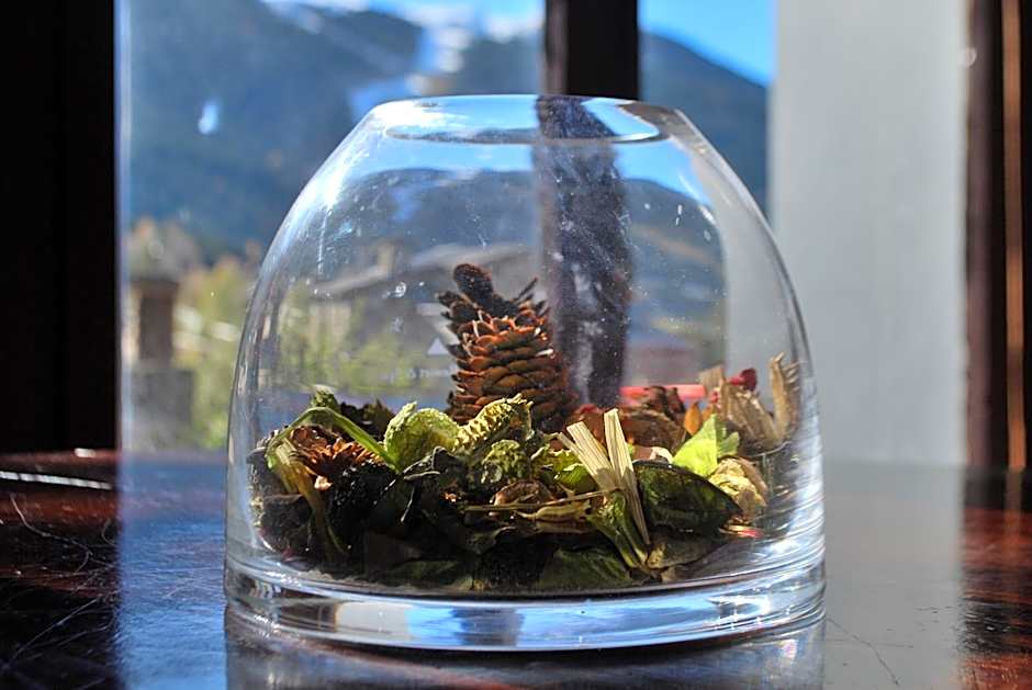 Hotel Roc de St Miquel & Apartment