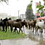 Americas Best Value Inn Sheridan WY