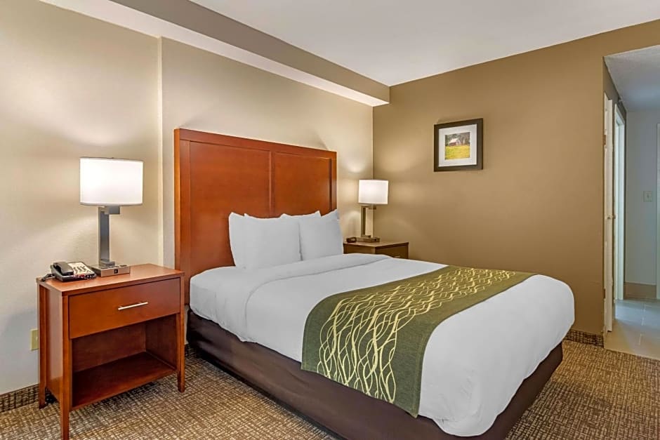 Comfort Inn Douglasville