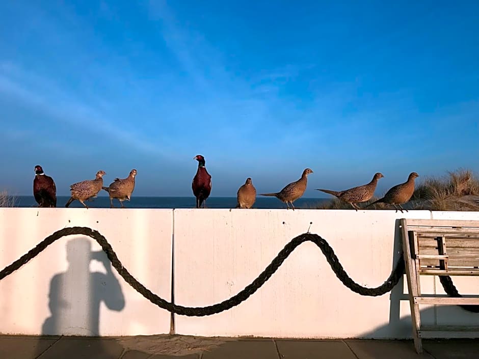 Strandhotel Noordzee