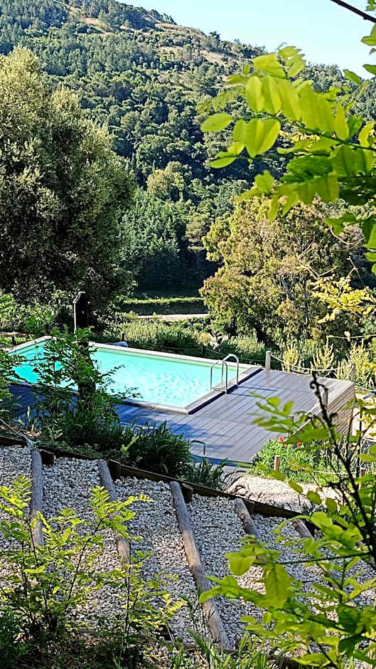 Tuffudesu Experience